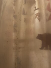 Shower curtain clearly super dirty