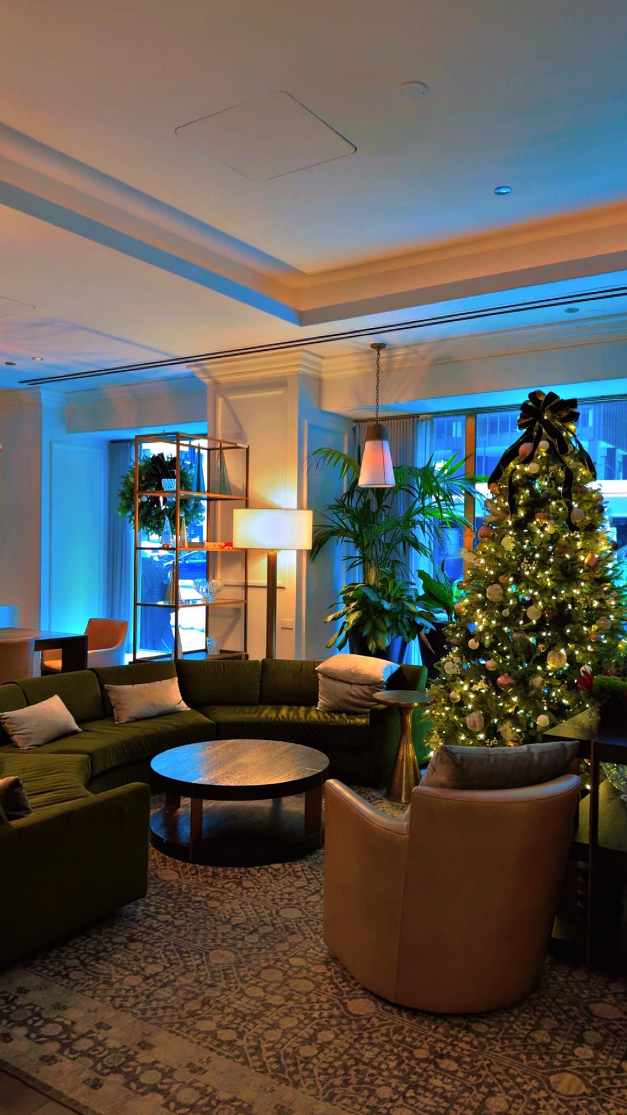 Love the Christmas decorations 