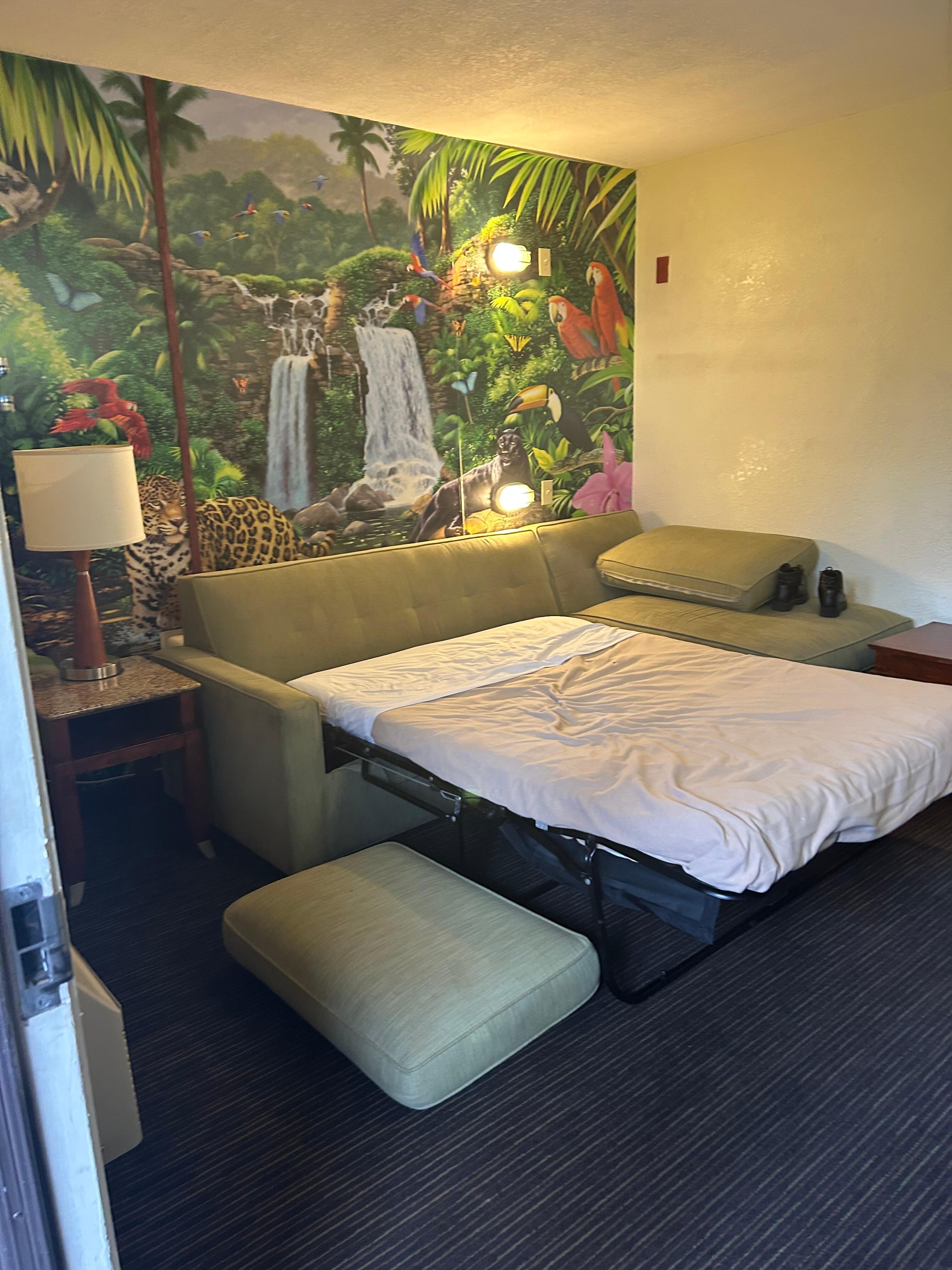 Pull out sofa bed w/no pillows. The bedding was very thin. 