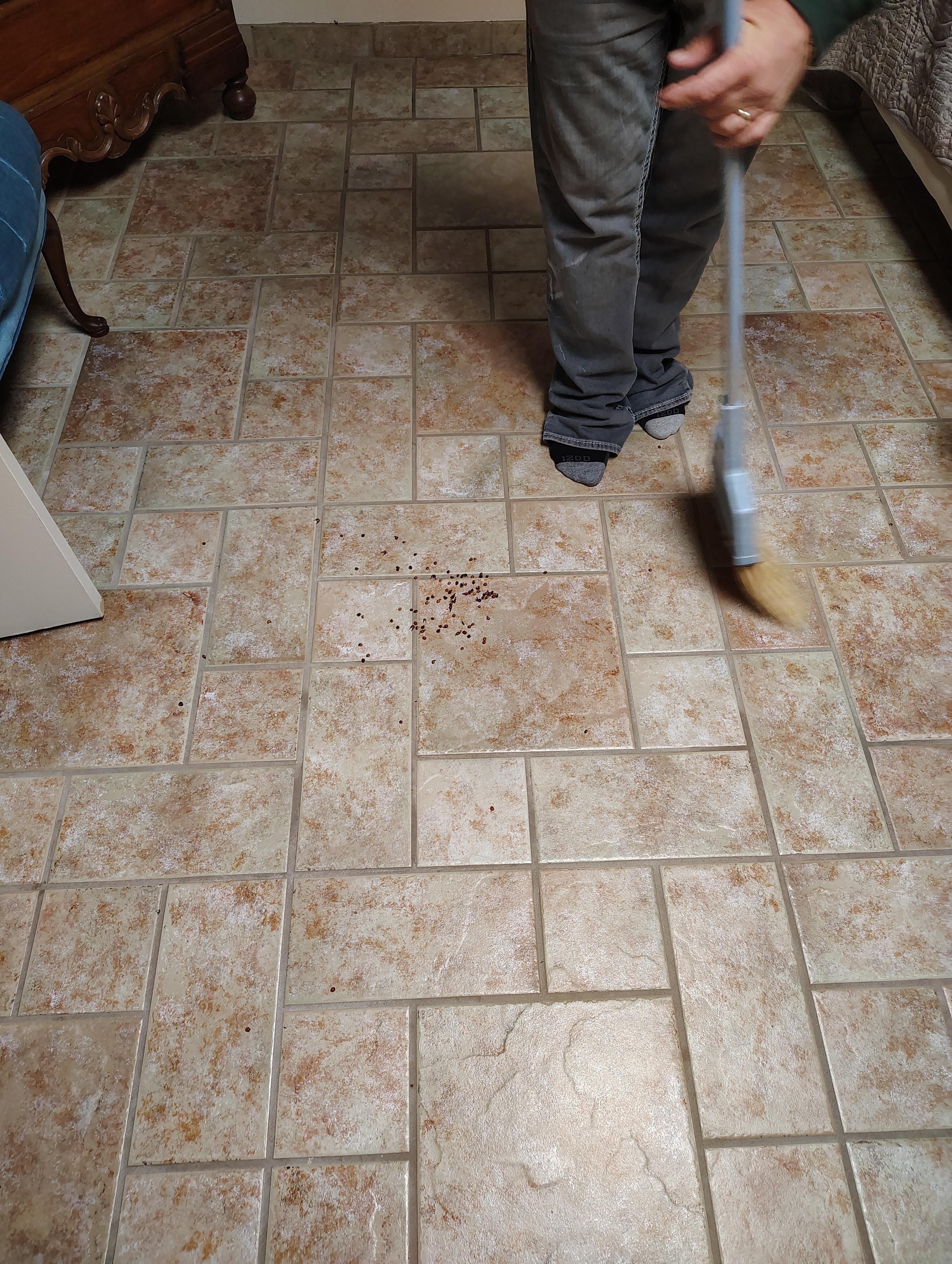 The piles of bugs...no dust pan 