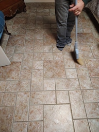 The piles of bugs...no dust pan