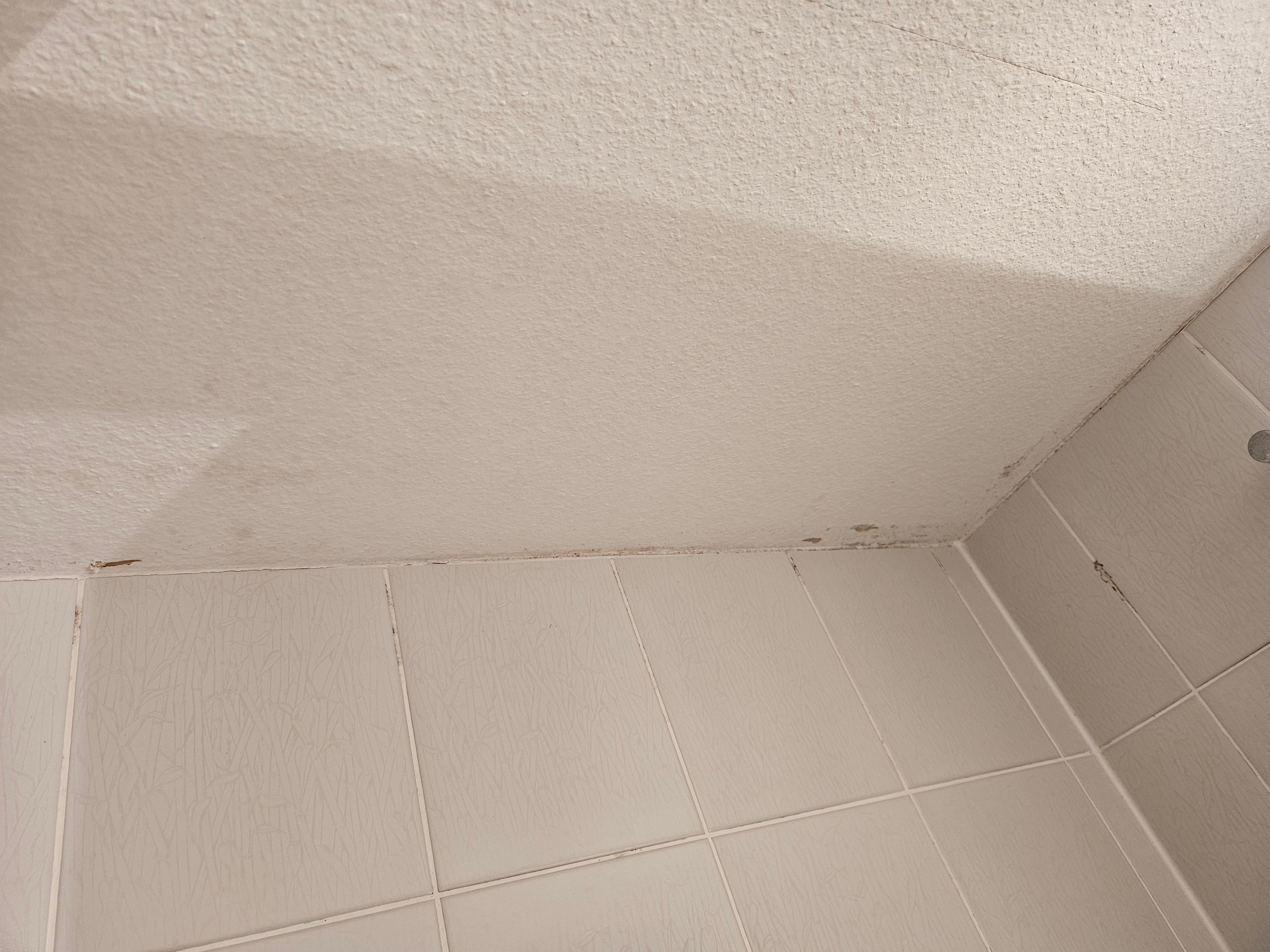 Schimmel an den Wänden