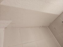 Schimmel an den Wänden