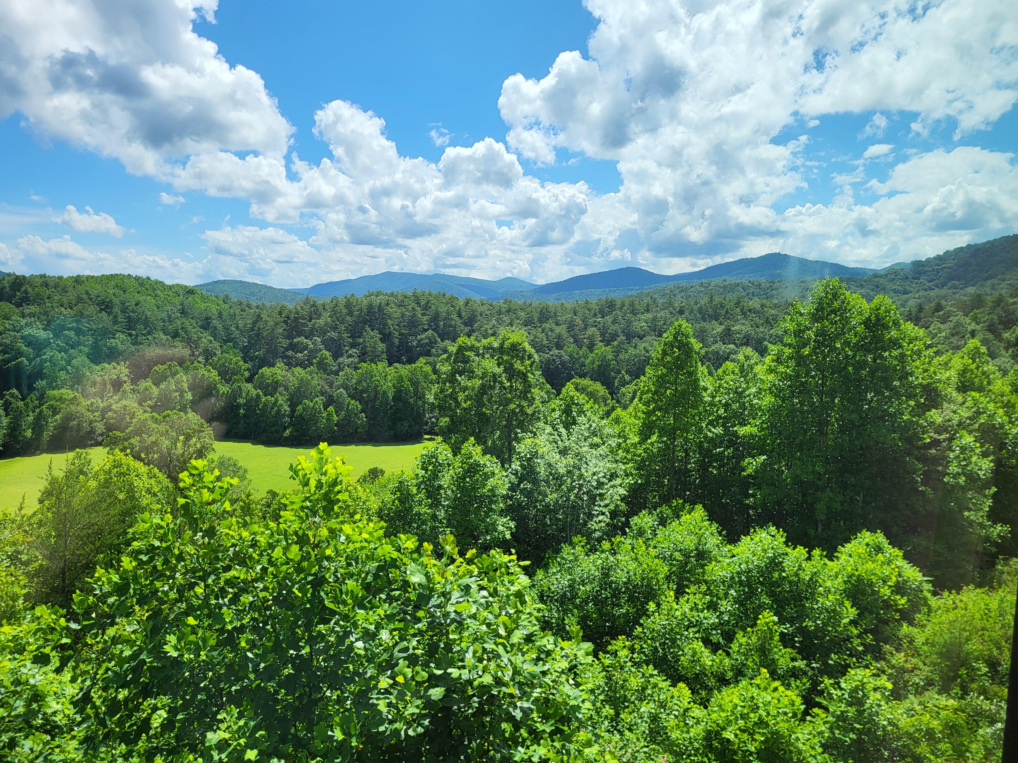 View from my room