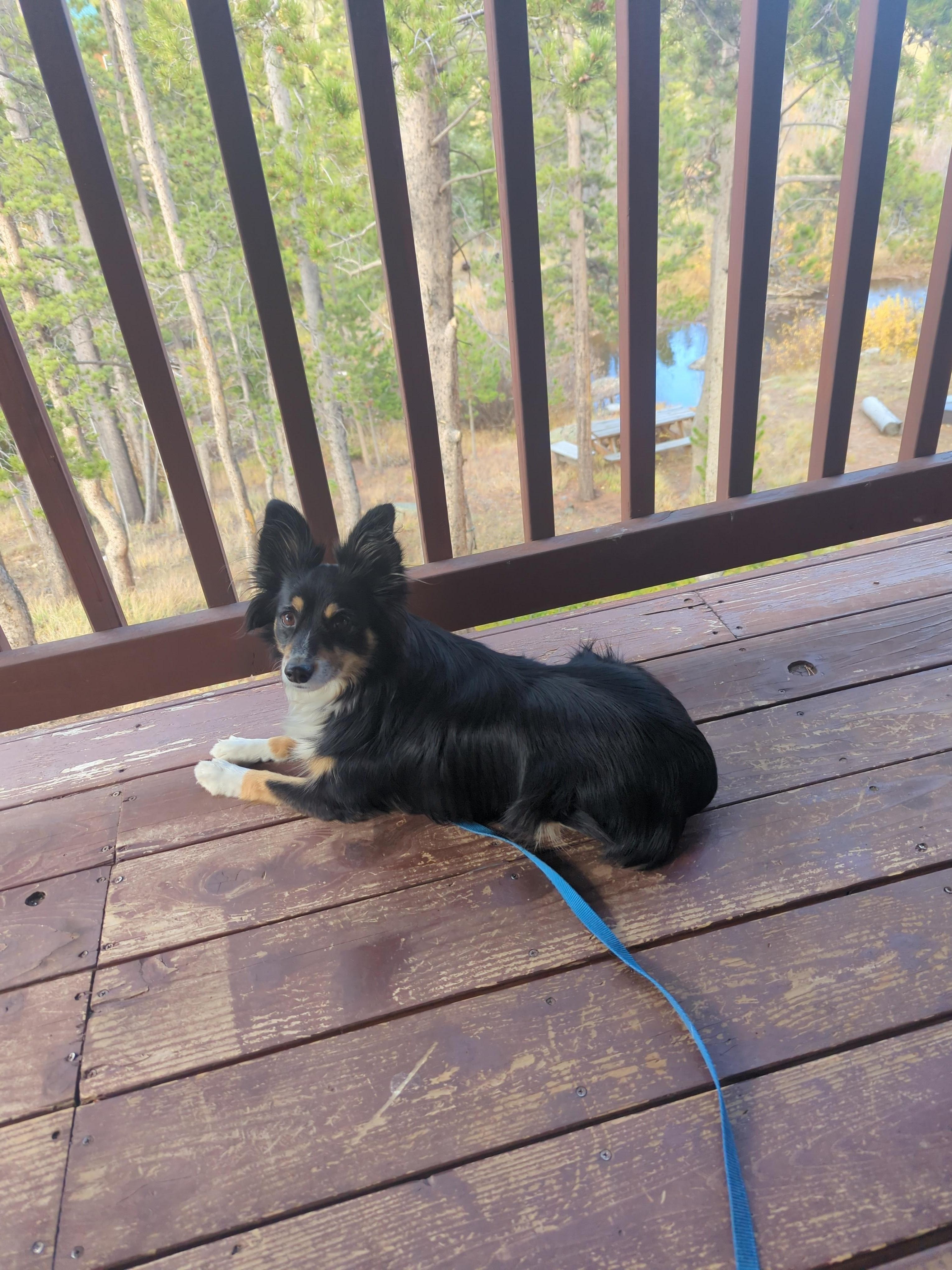 Even Finn loved the deck