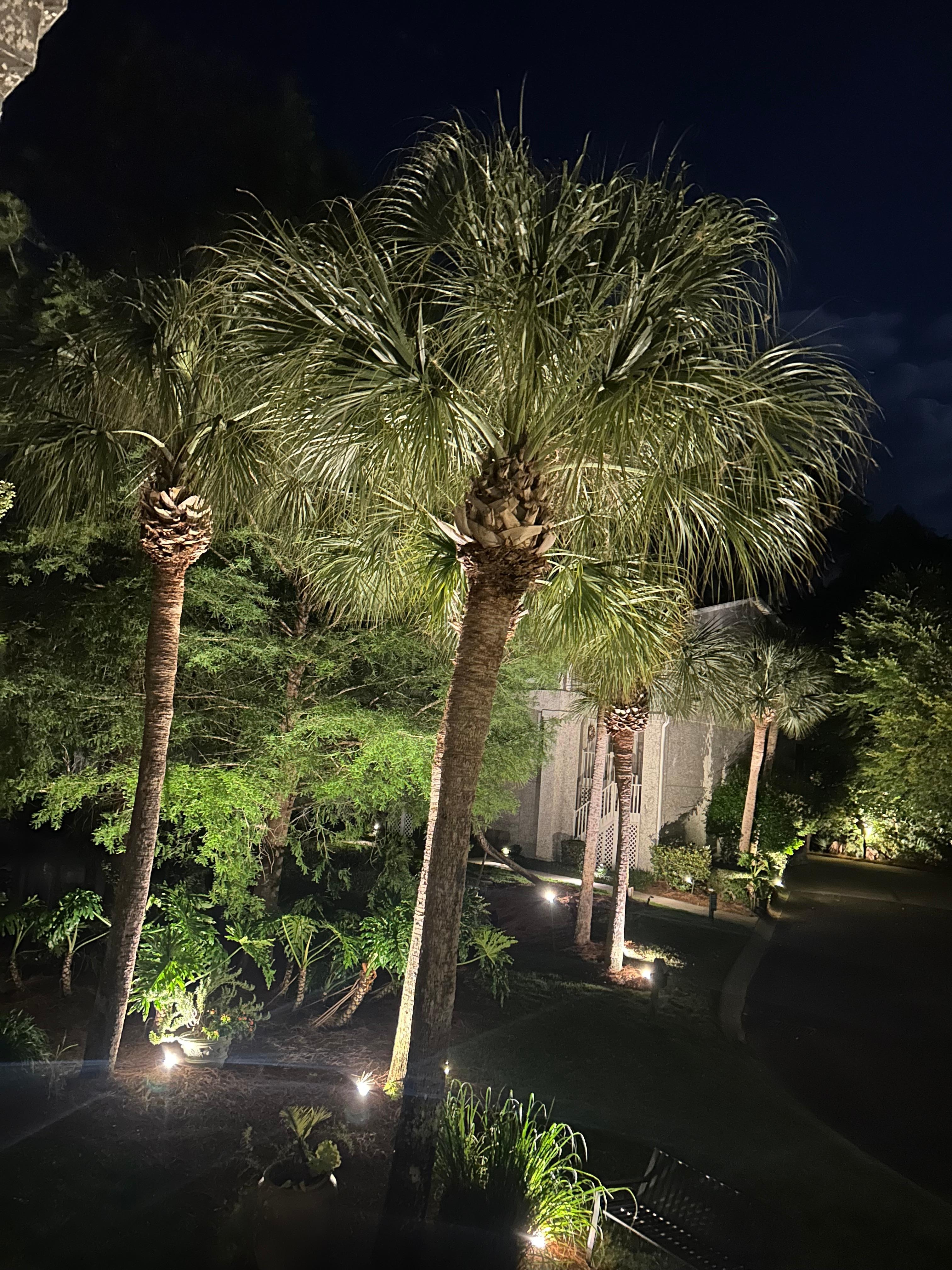 Night view from front of unit 