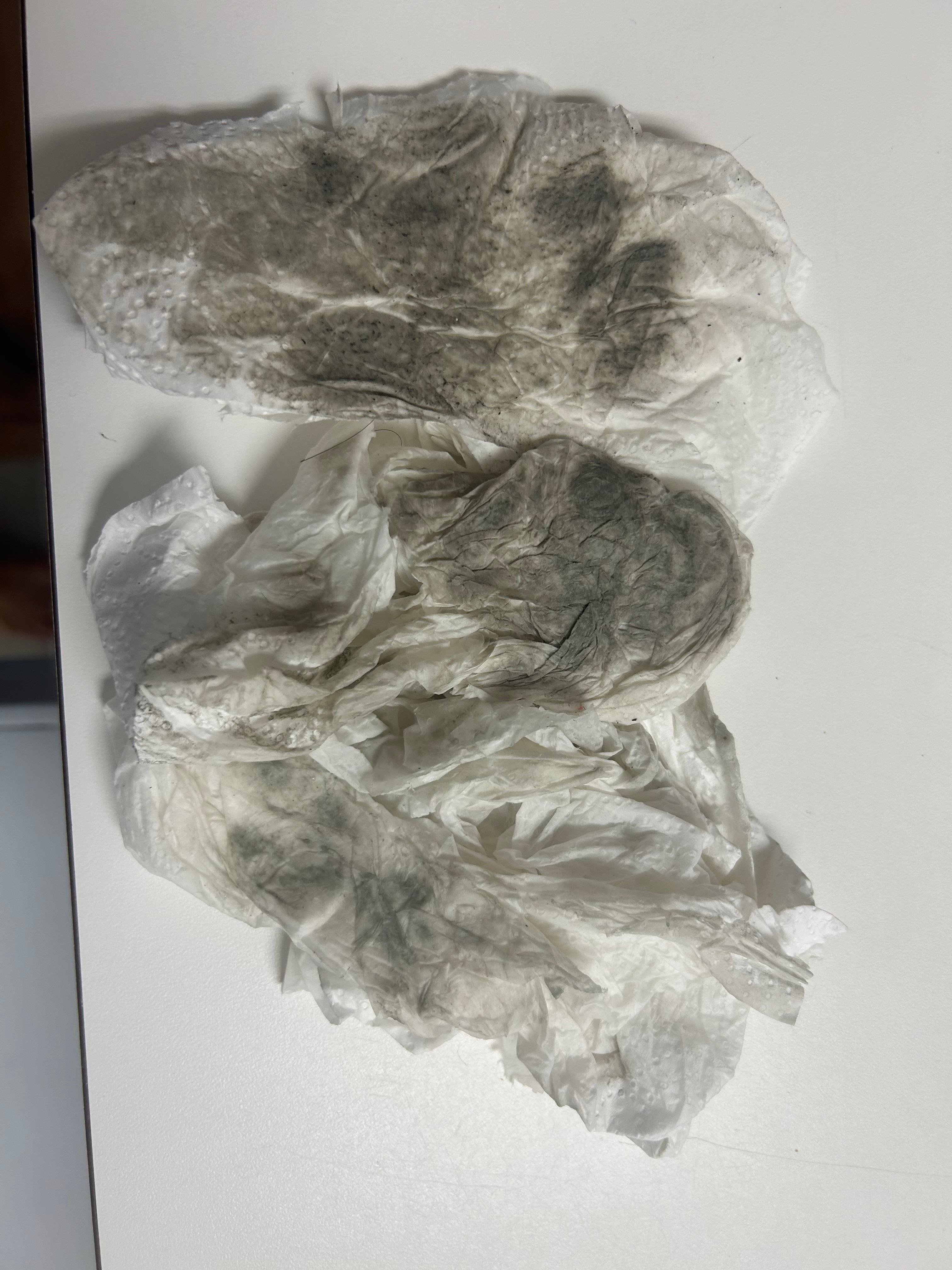 Dirt on Towel after wiping floor