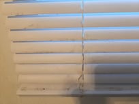 Mold in bathroom on blinds
