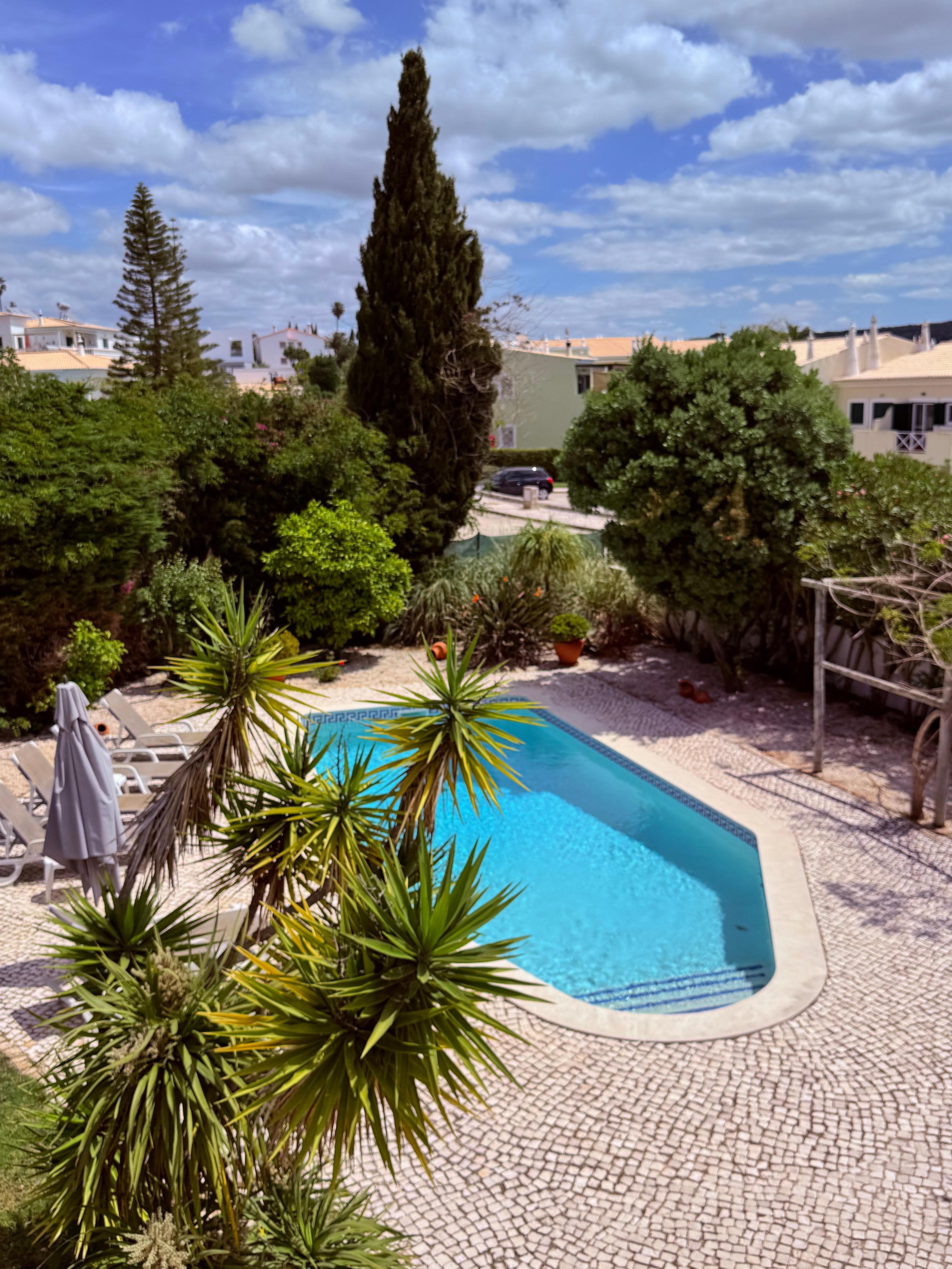 The pool and garden