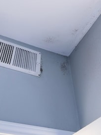 Mold by vent (video unable to upload)