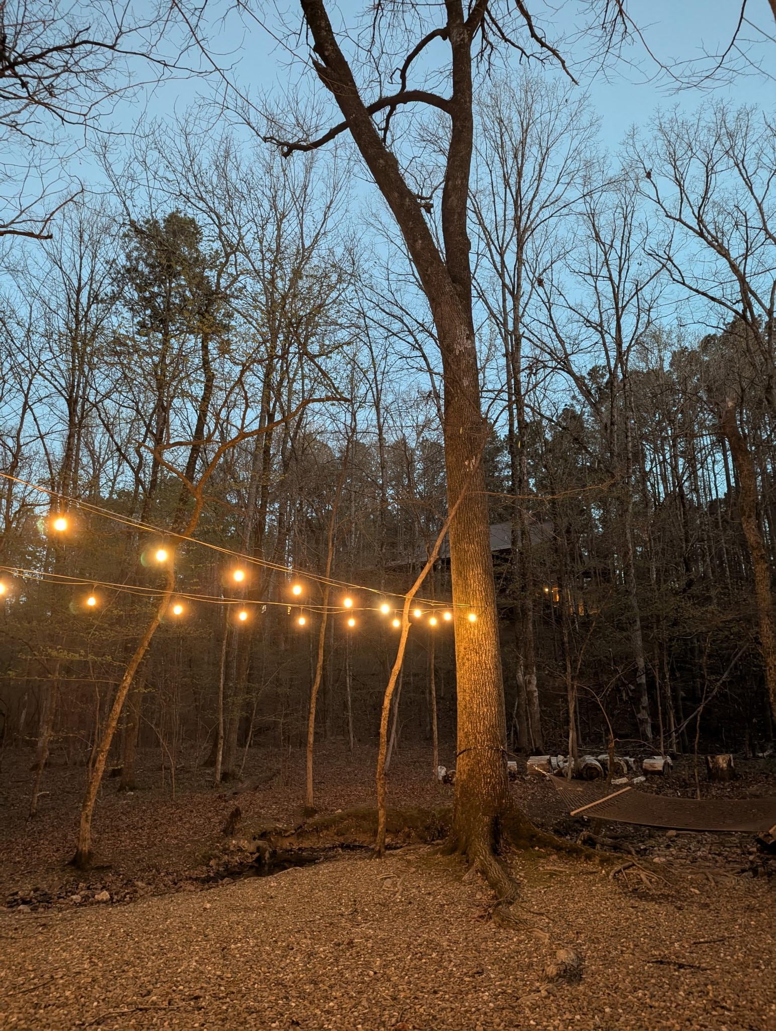 More lights near fire pit and hammock.
