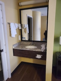 Sink outside of shower & toliet