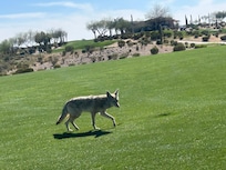 Lots of wild life on hikes