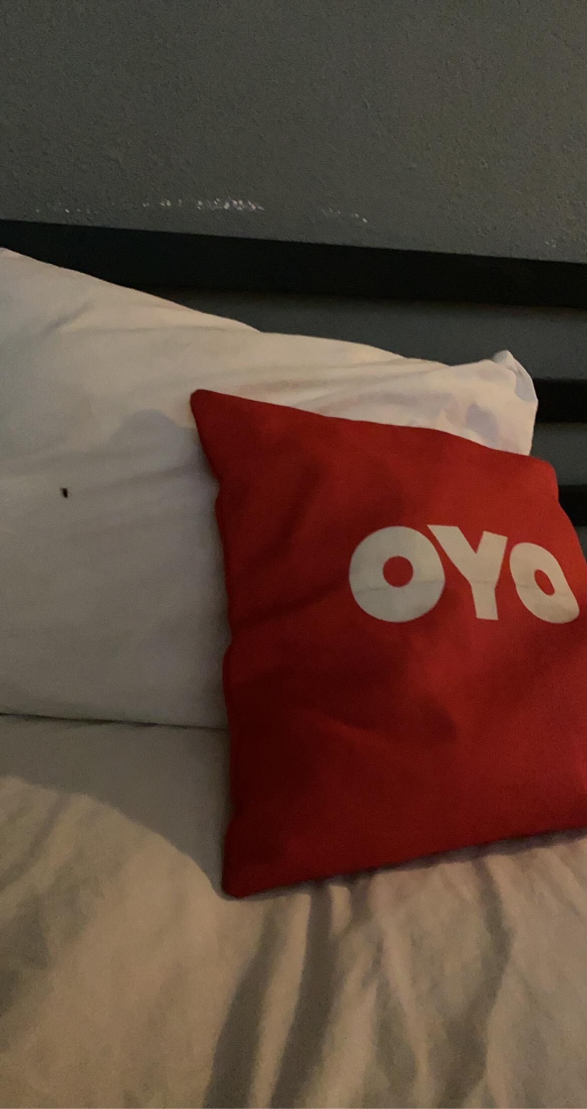 Fly on the pillow, bugs on the floor