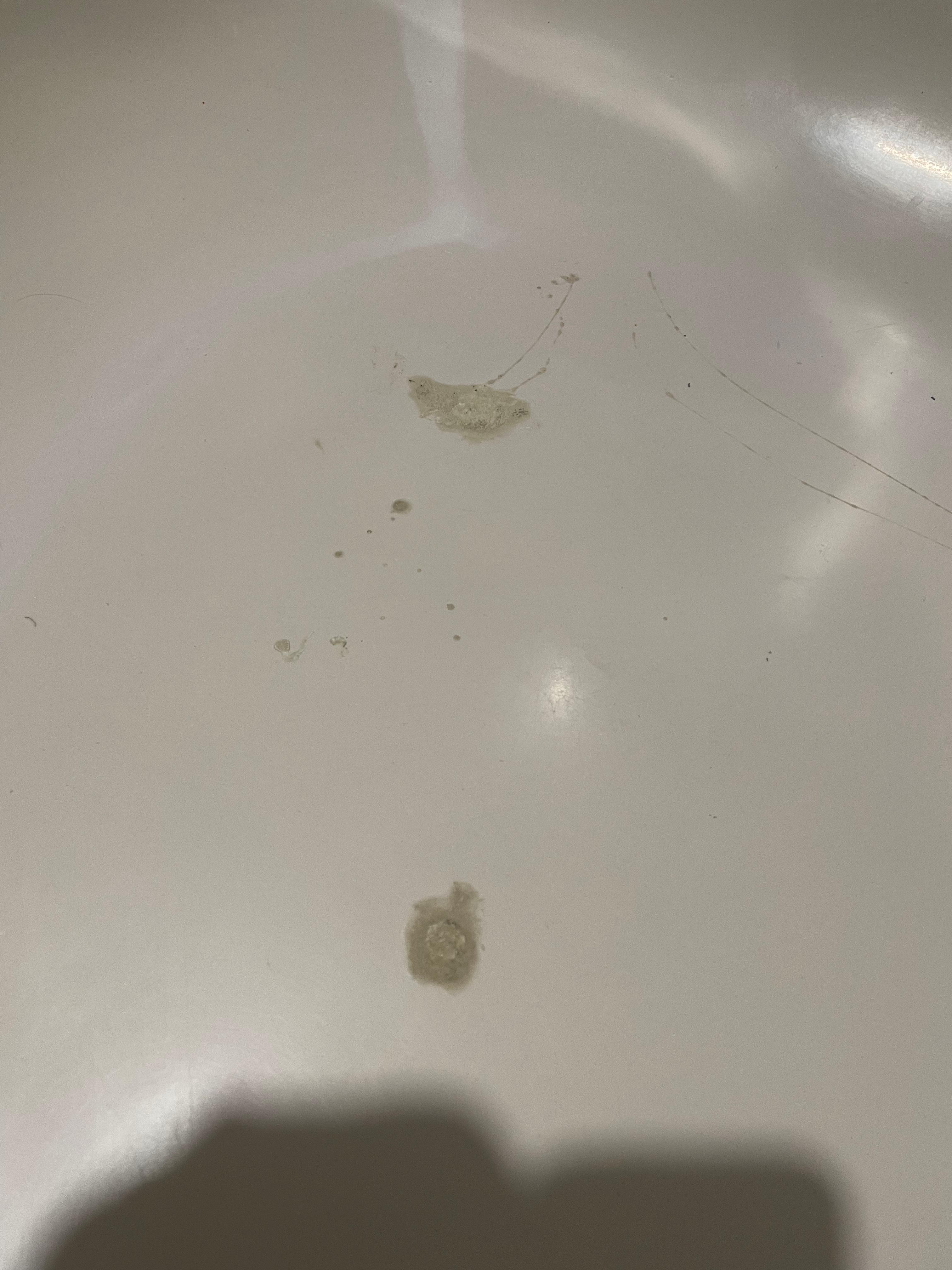 No idea what this was in the shower and I didn’t try to find out.