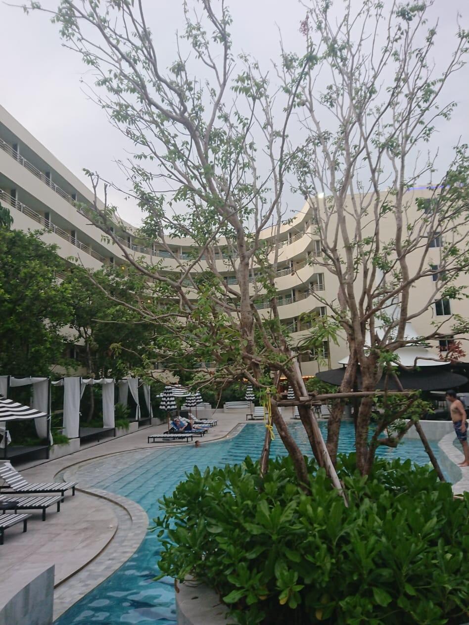 Vista desde el area de la piscina.