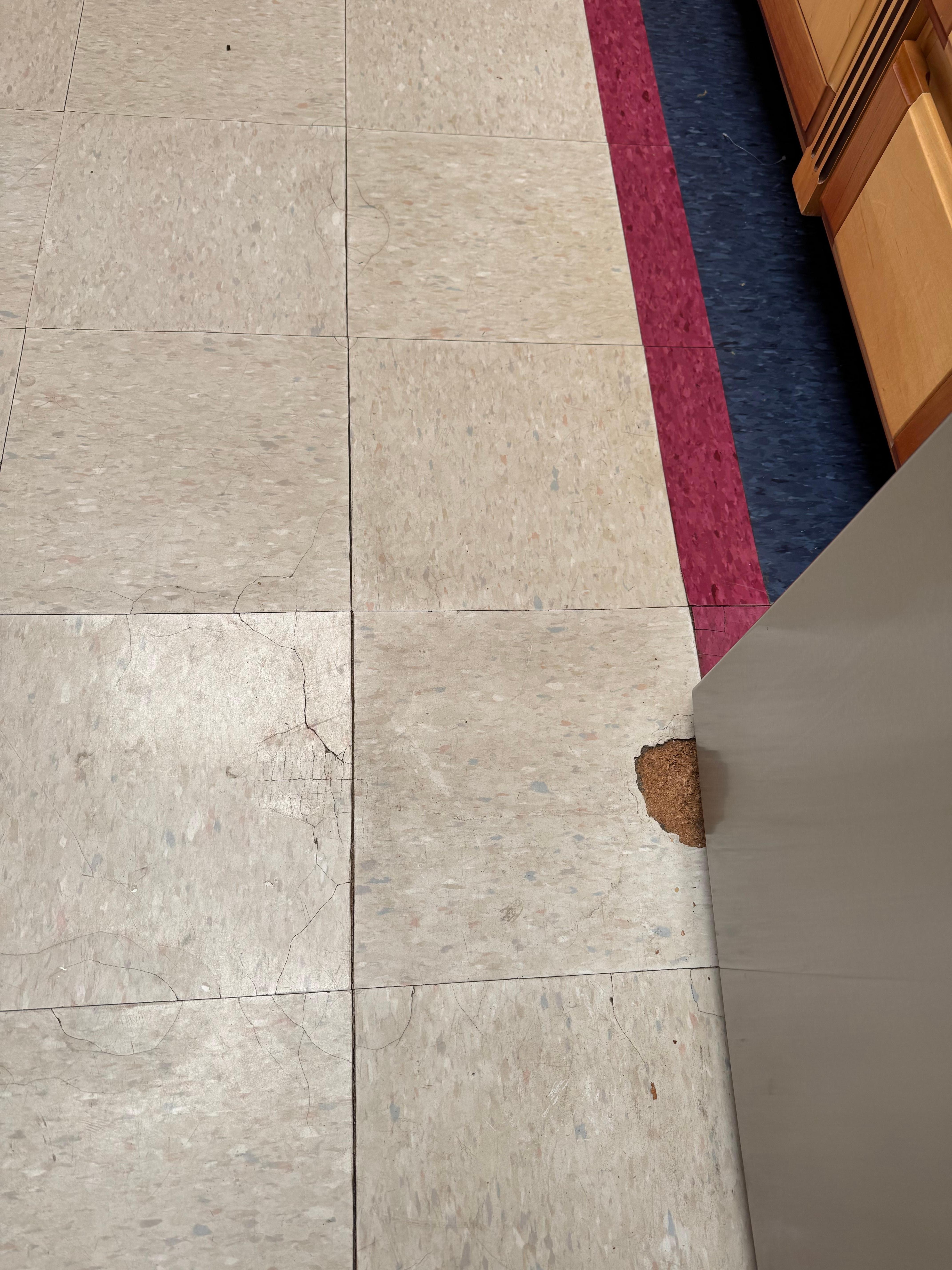 Holes in kitchen floor.
