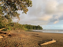 Playa Ballena