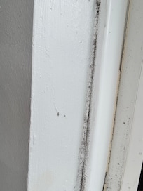 Visible black mold on window frame