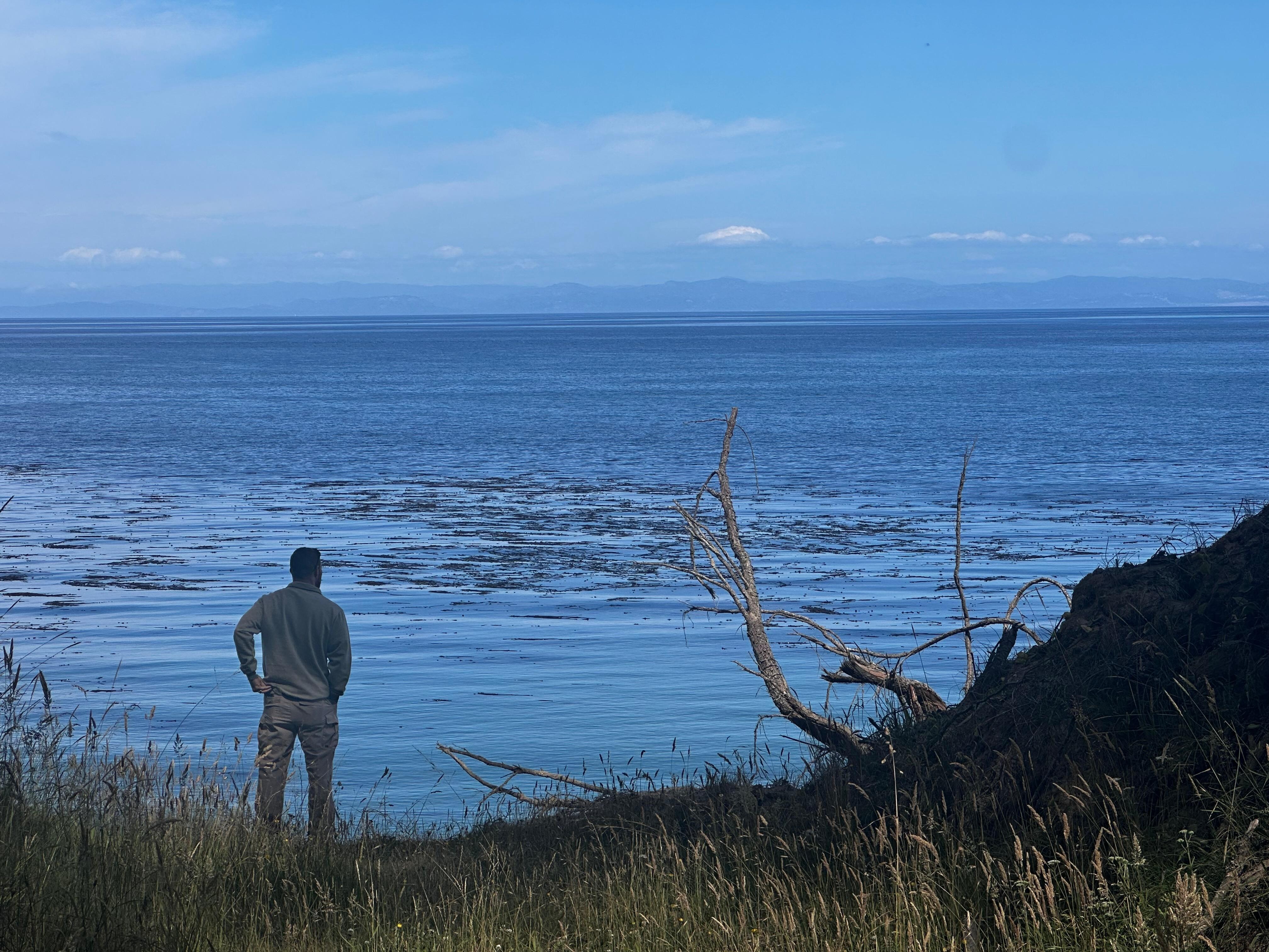 At the end of the trail to the lookout 