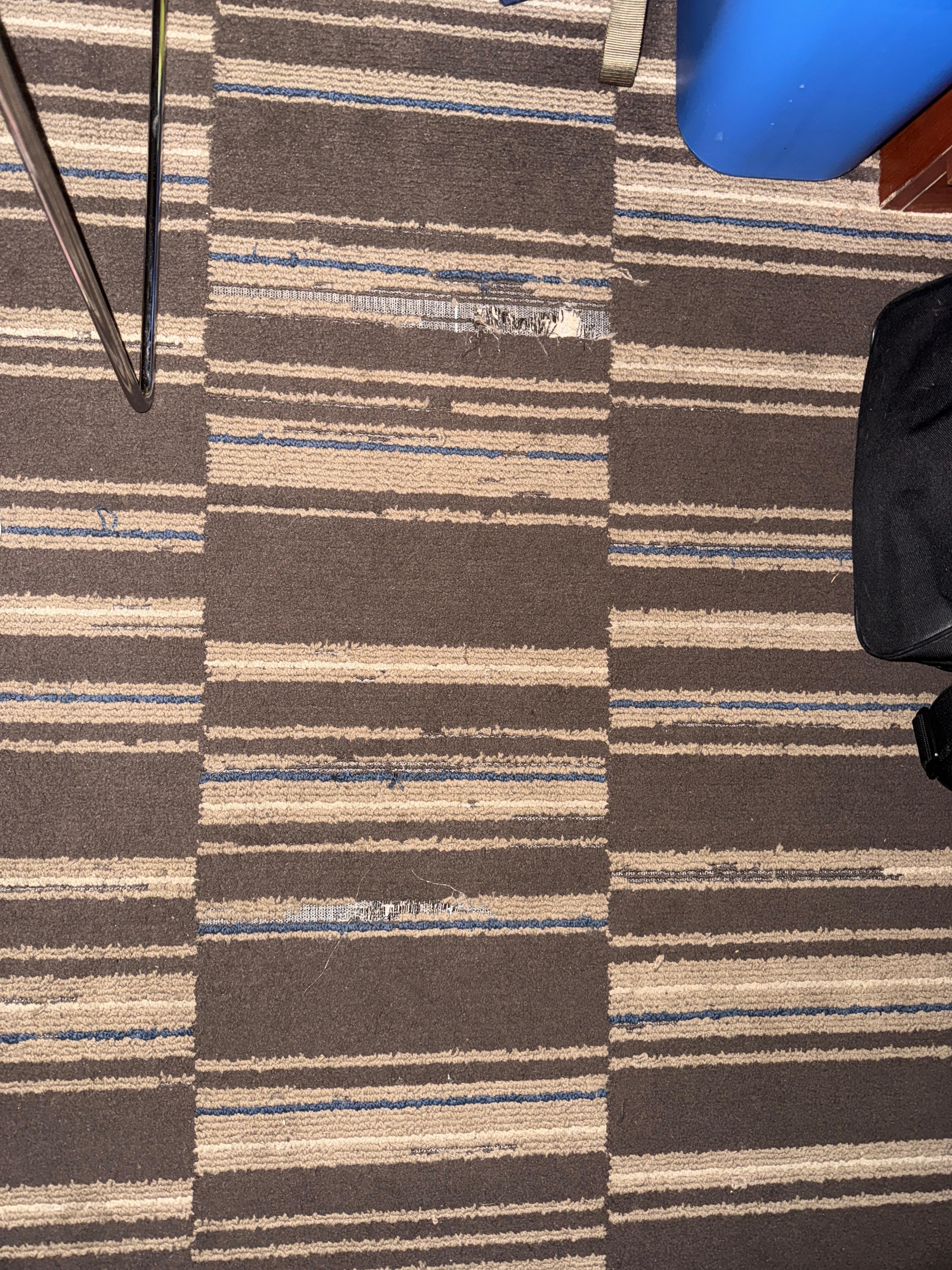 Worn and torn carpet