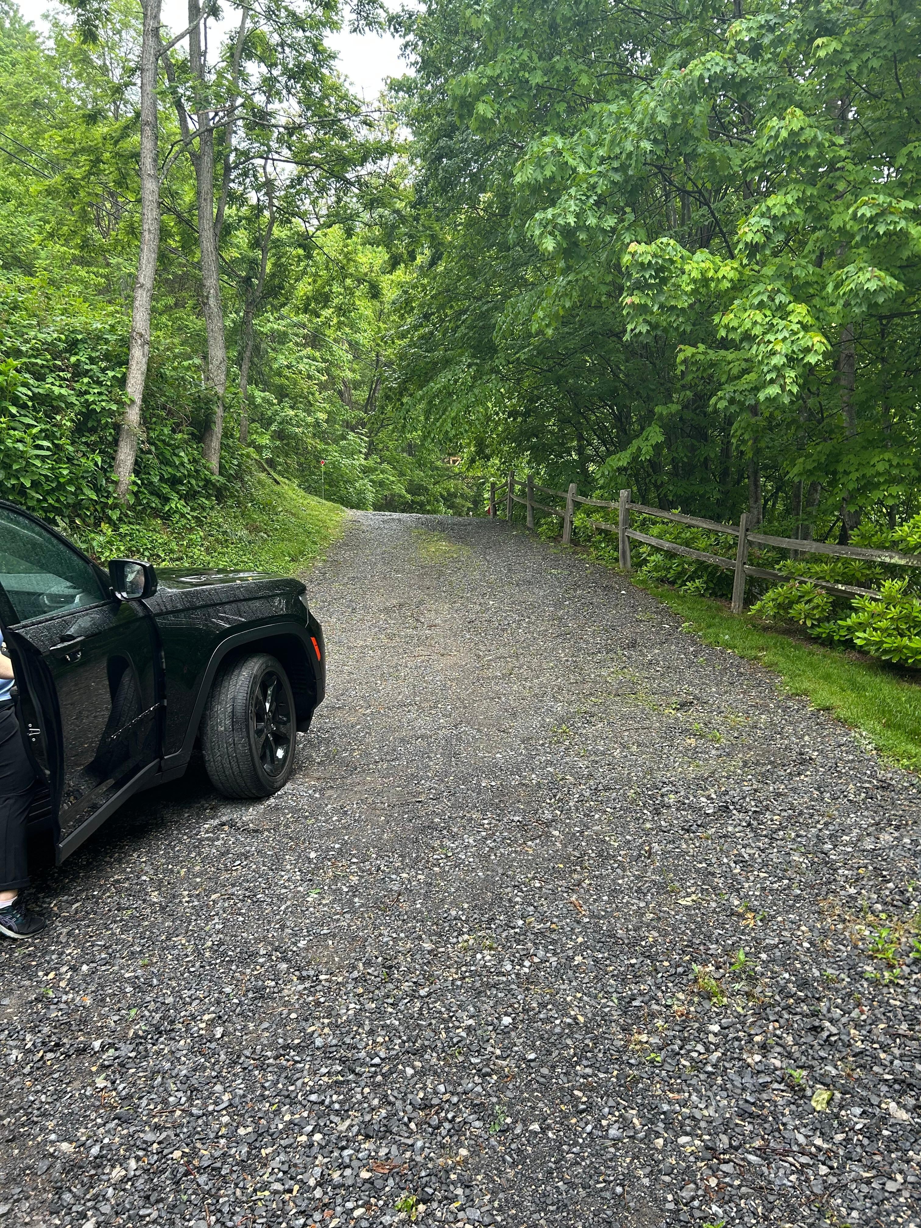  View of driveway from house