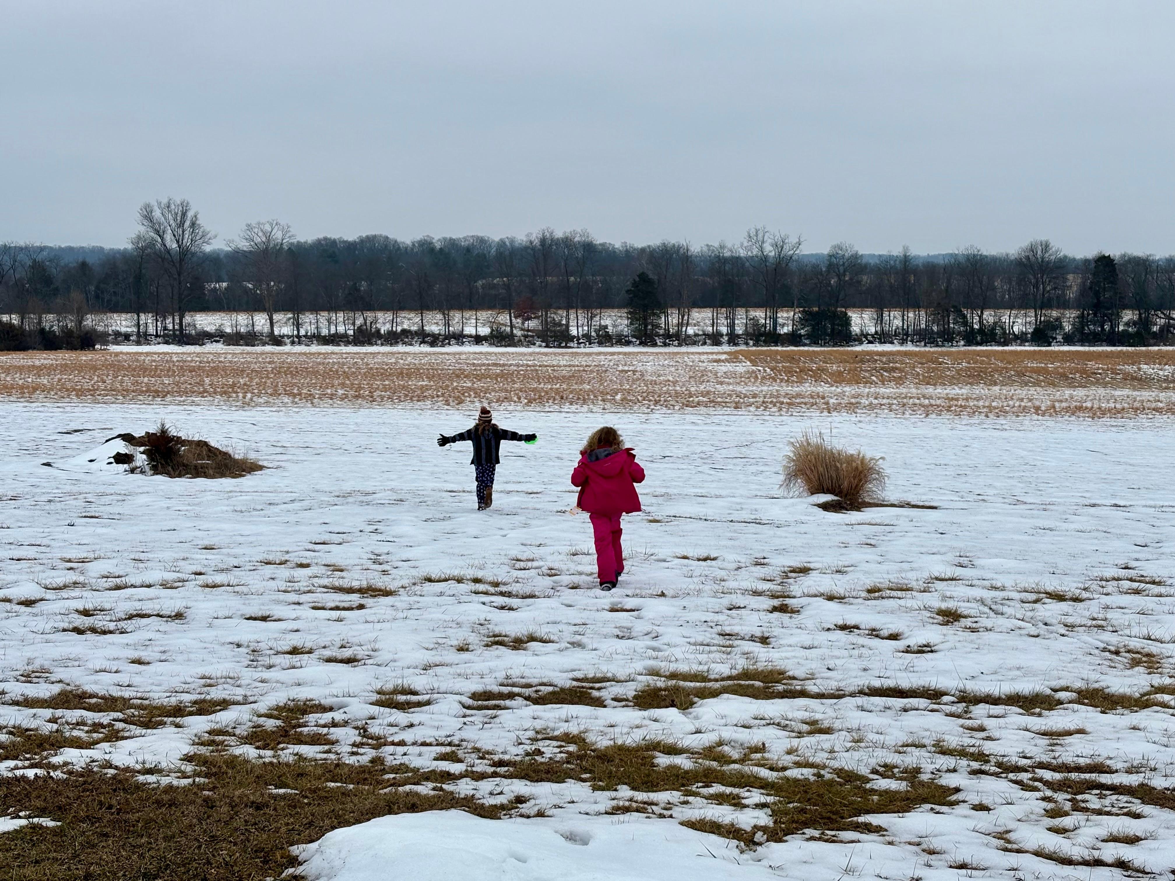 So much space in the yard! Can’t wait to return when the sky is clear. 