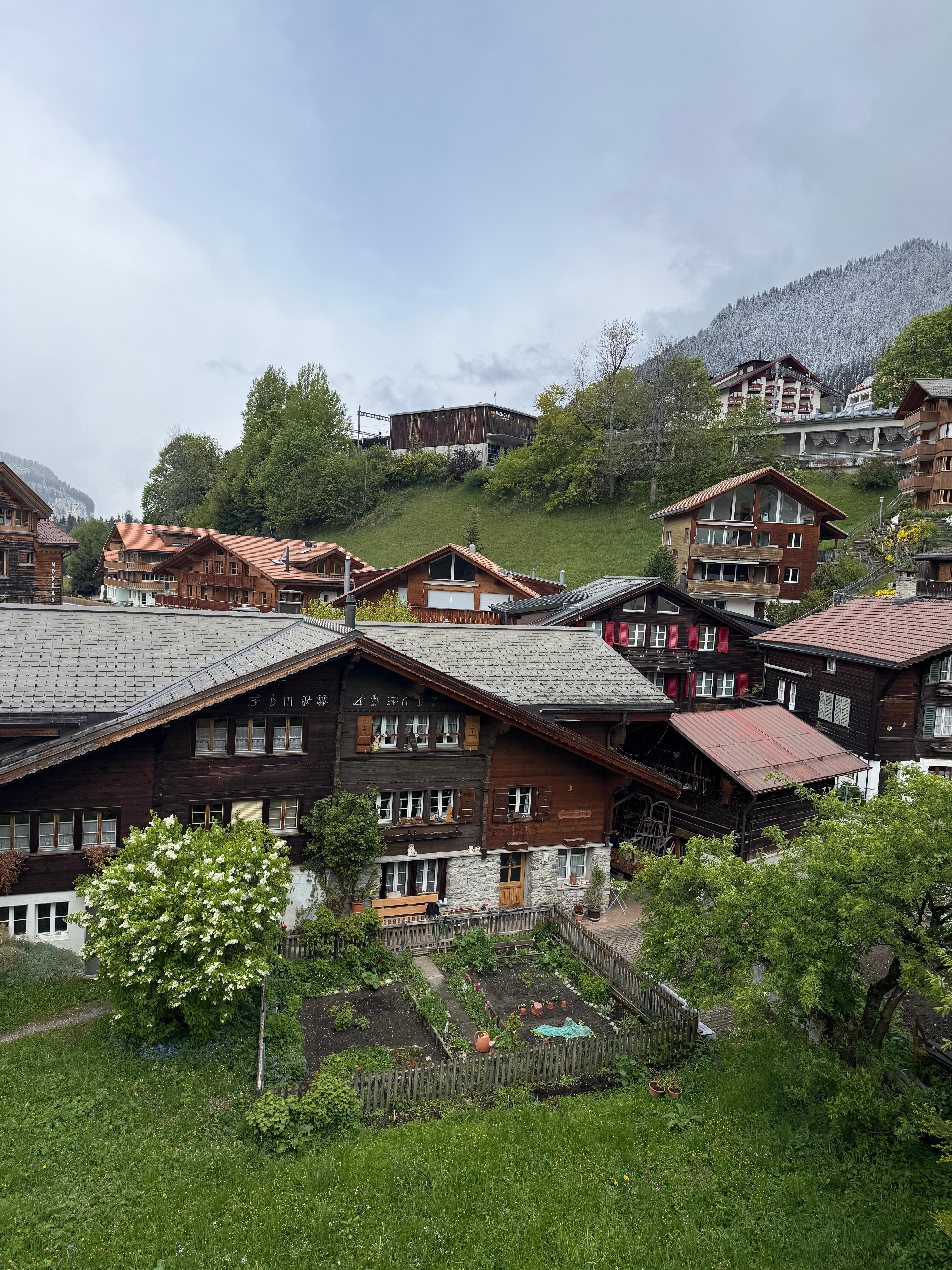 View from room