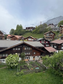 View from room