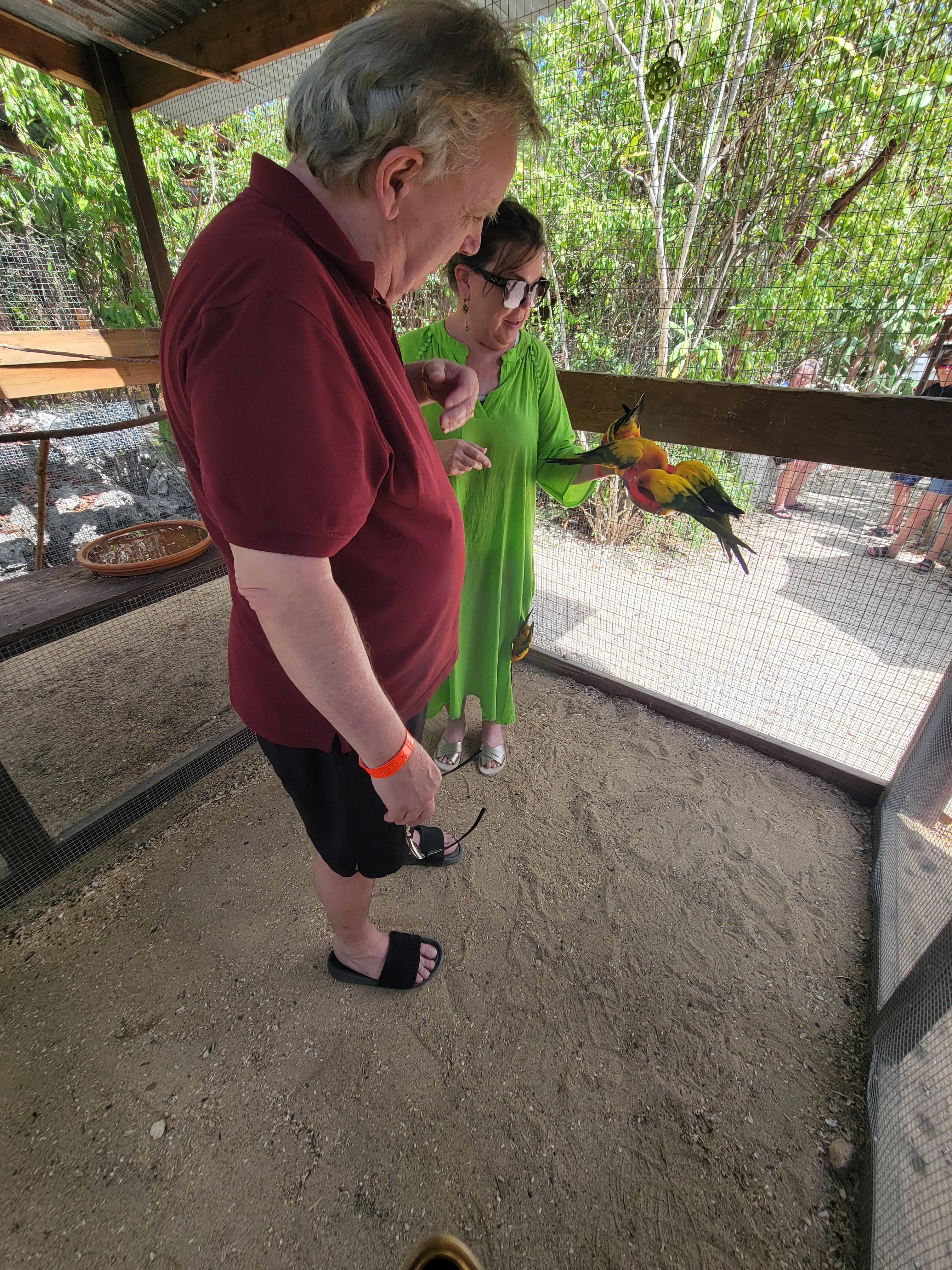 At the parrot park