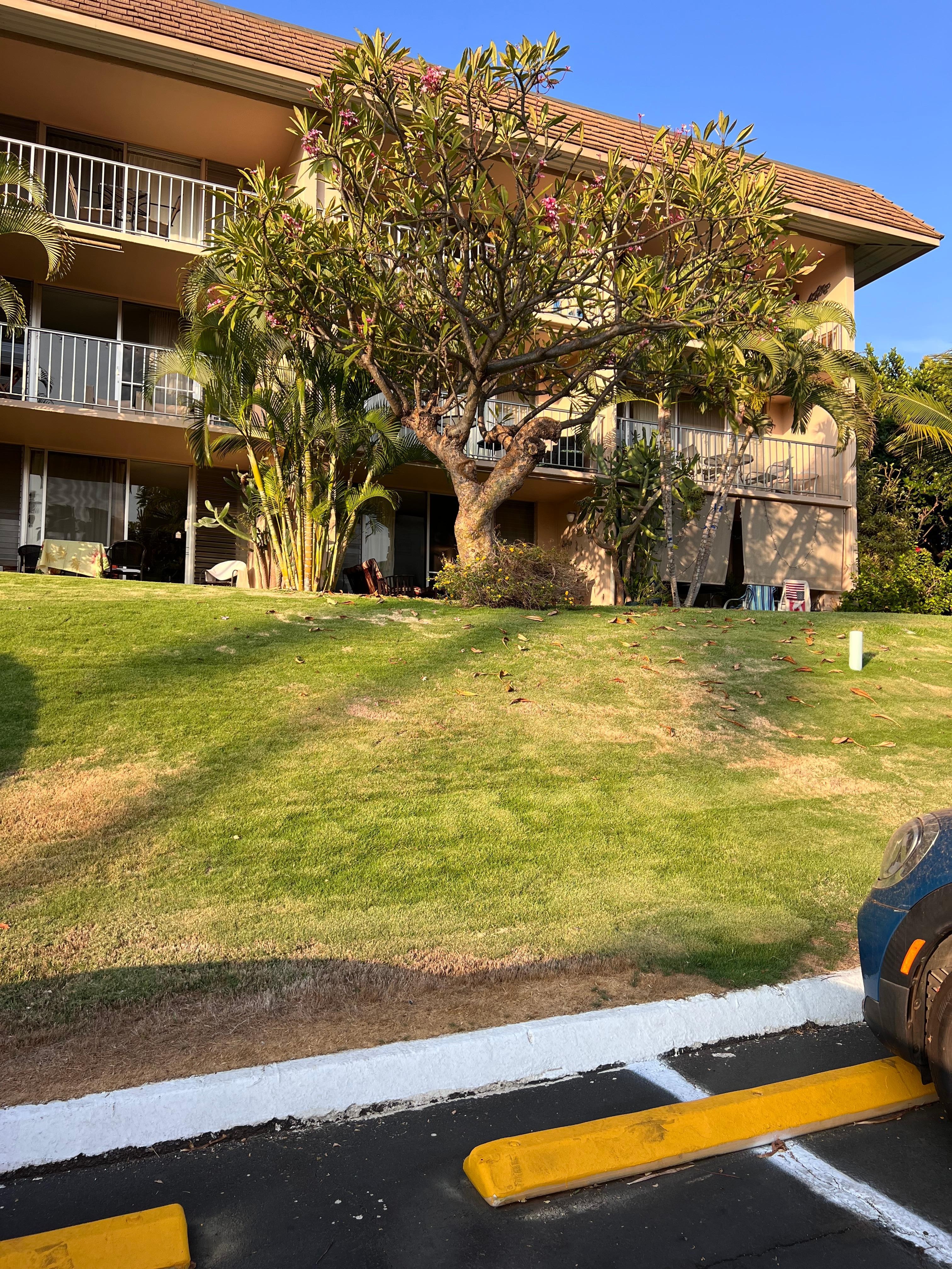Second from the right, bottom floor. Great table and chairs to sit and enjoy listening to the birds or admire the gardens.