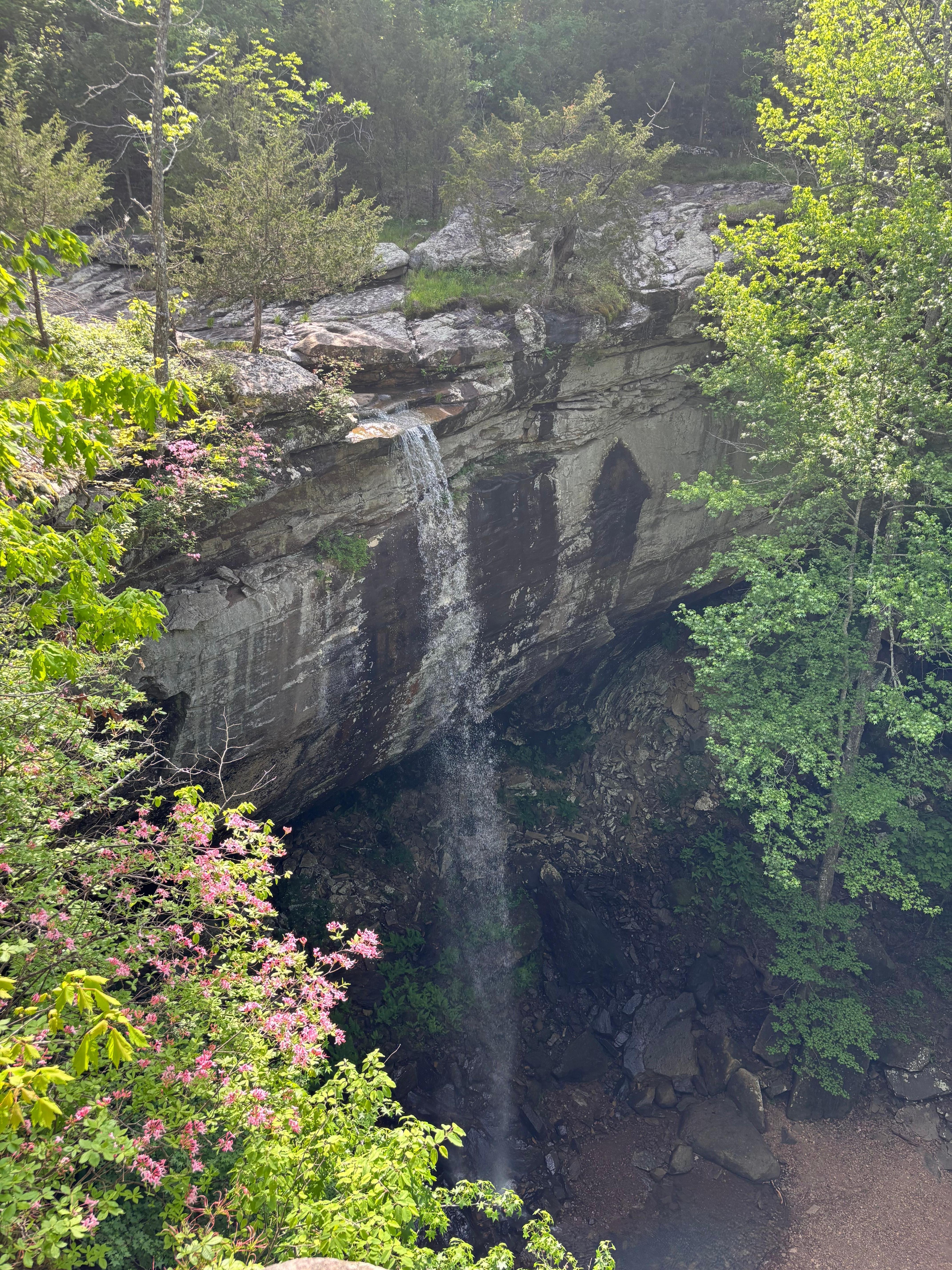 Sweden Falls trail was a very nice hike. 