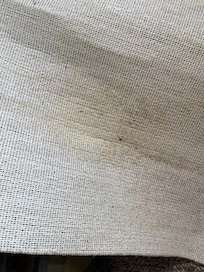 Animal pee stain on the living room area rug