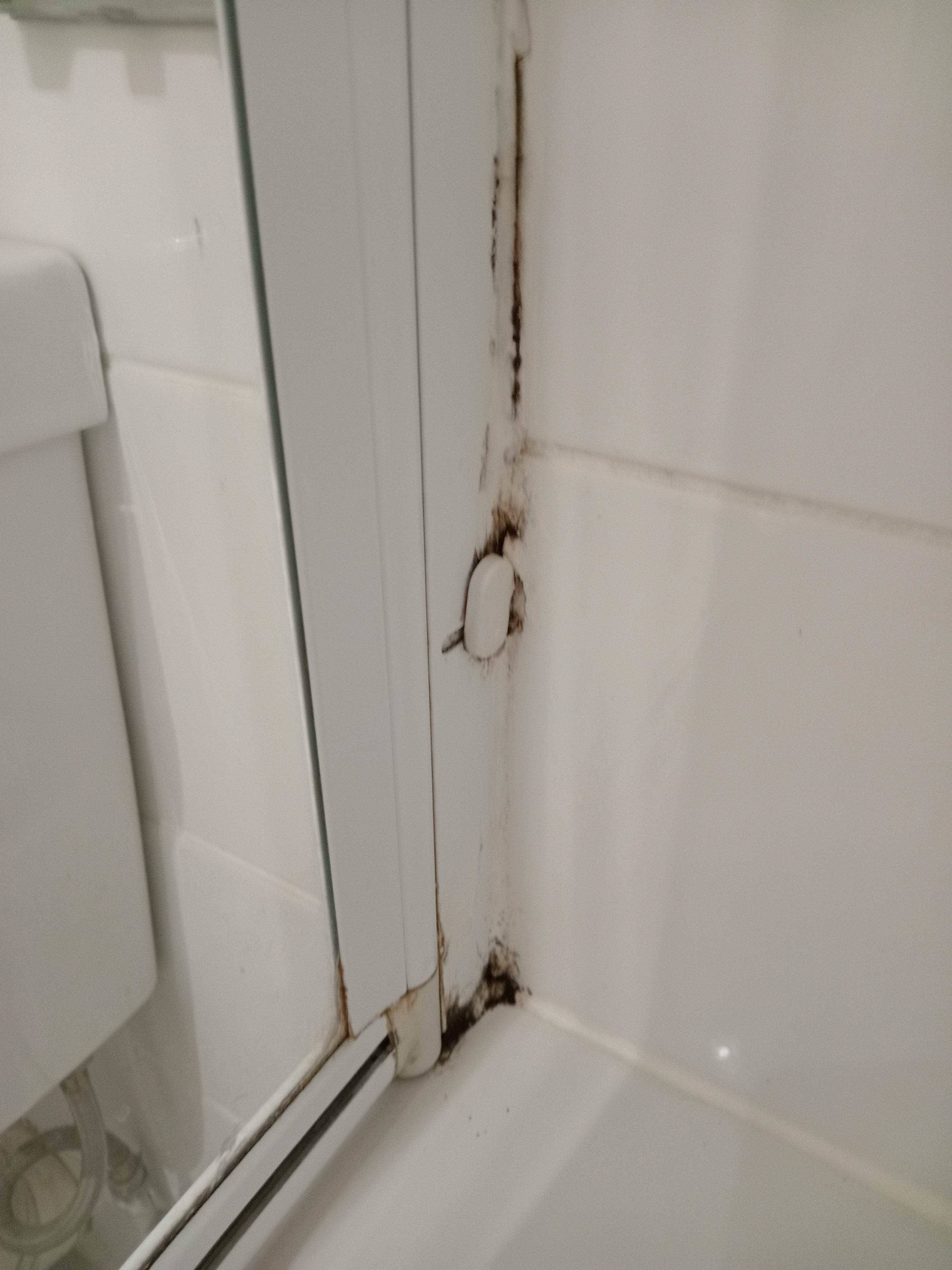 Mould and bacteria in bathroom