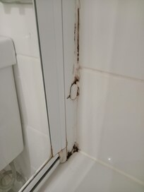 Mould and bacteria in bathroom