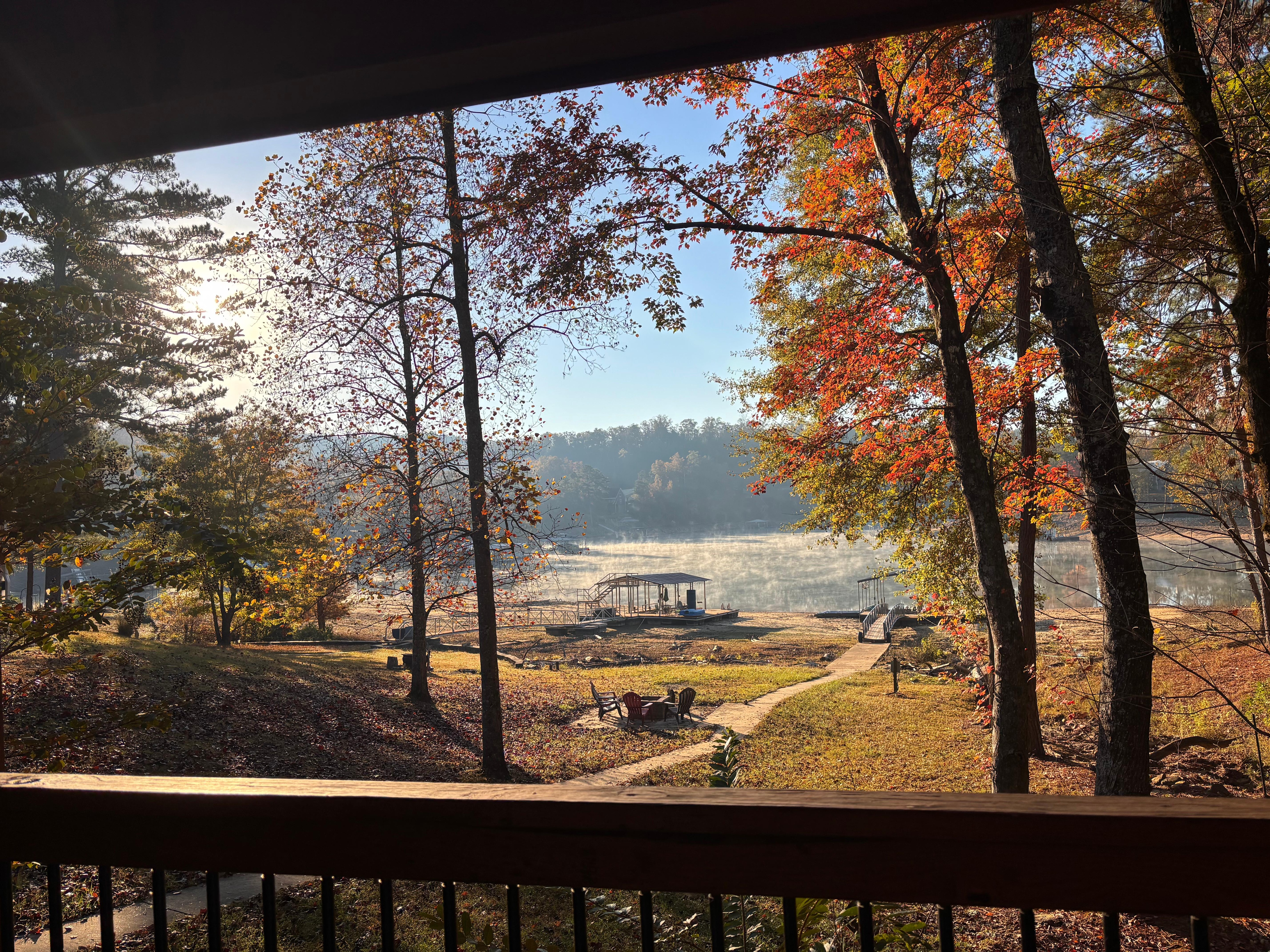 View from back porch early morning 