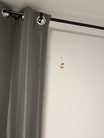 Bed frame lashed together