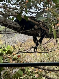 Once the sun hits, it’s time for rest.