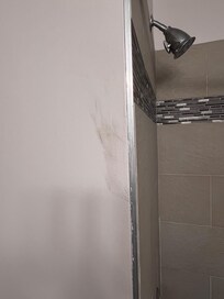 Hand smudge on bathroom wall