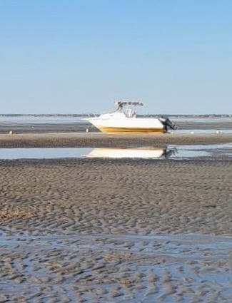 Mud flats at Linnel Landing 
