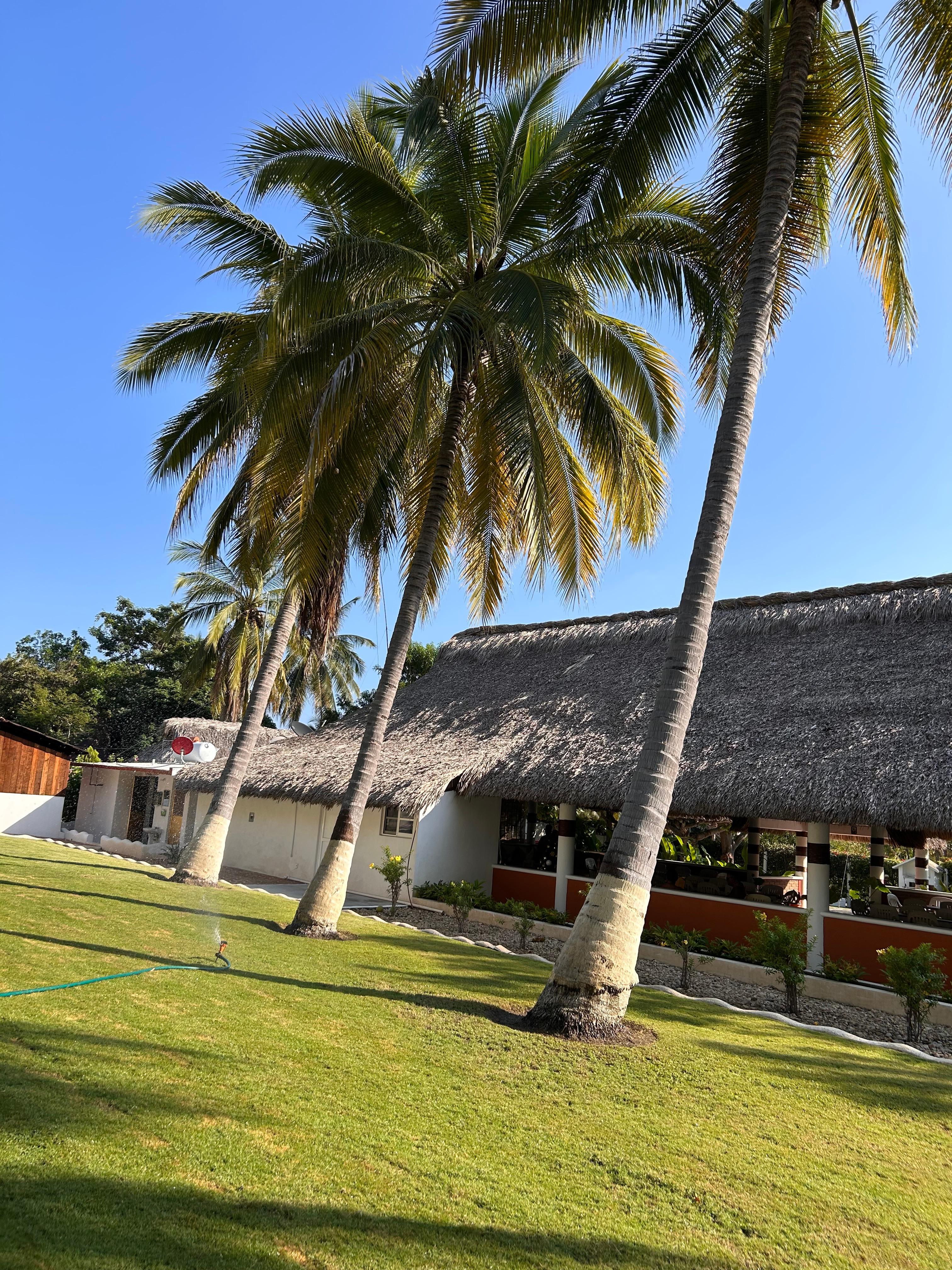 The restaurant on the property