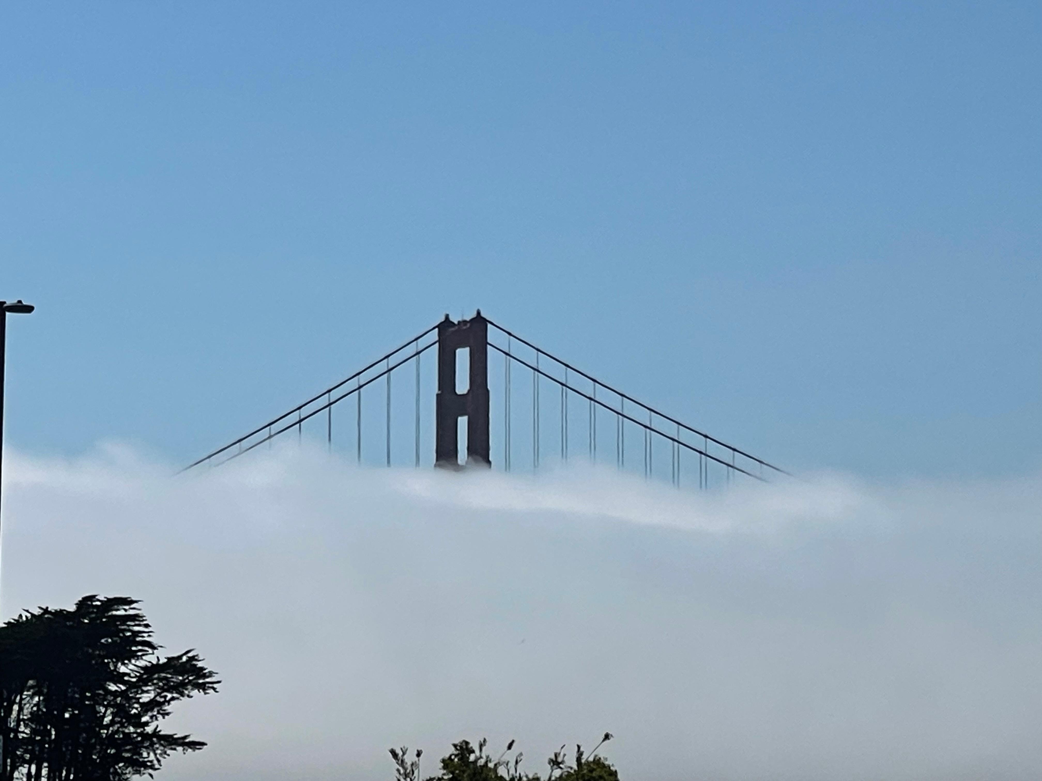 Golden Gate Bridge with Carl (the fog - yea he has a name)
