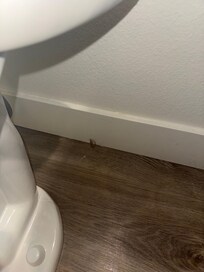 Toenails and other items on bathroom floor