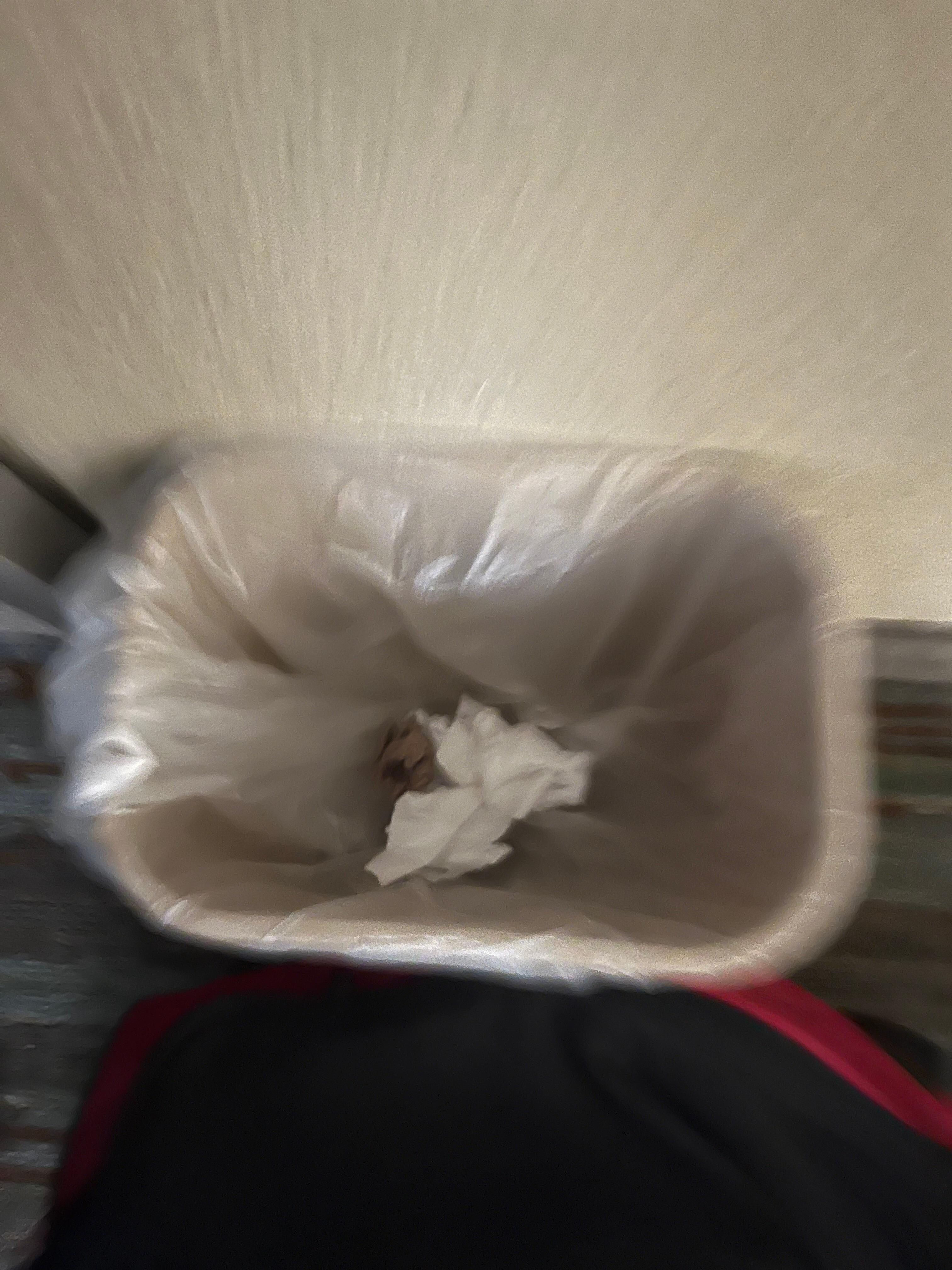 Garbage when we arrived