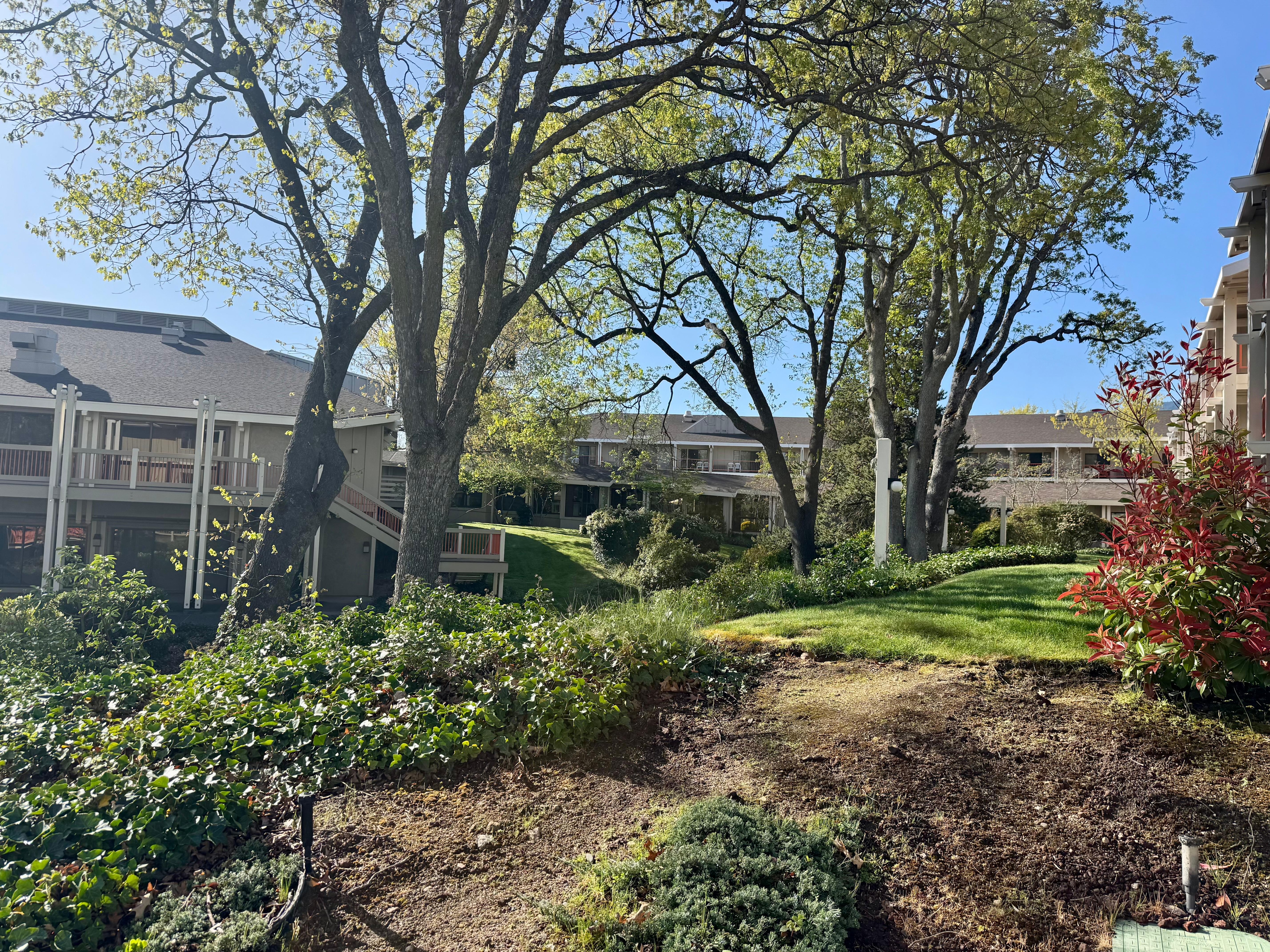 Landscaping interior