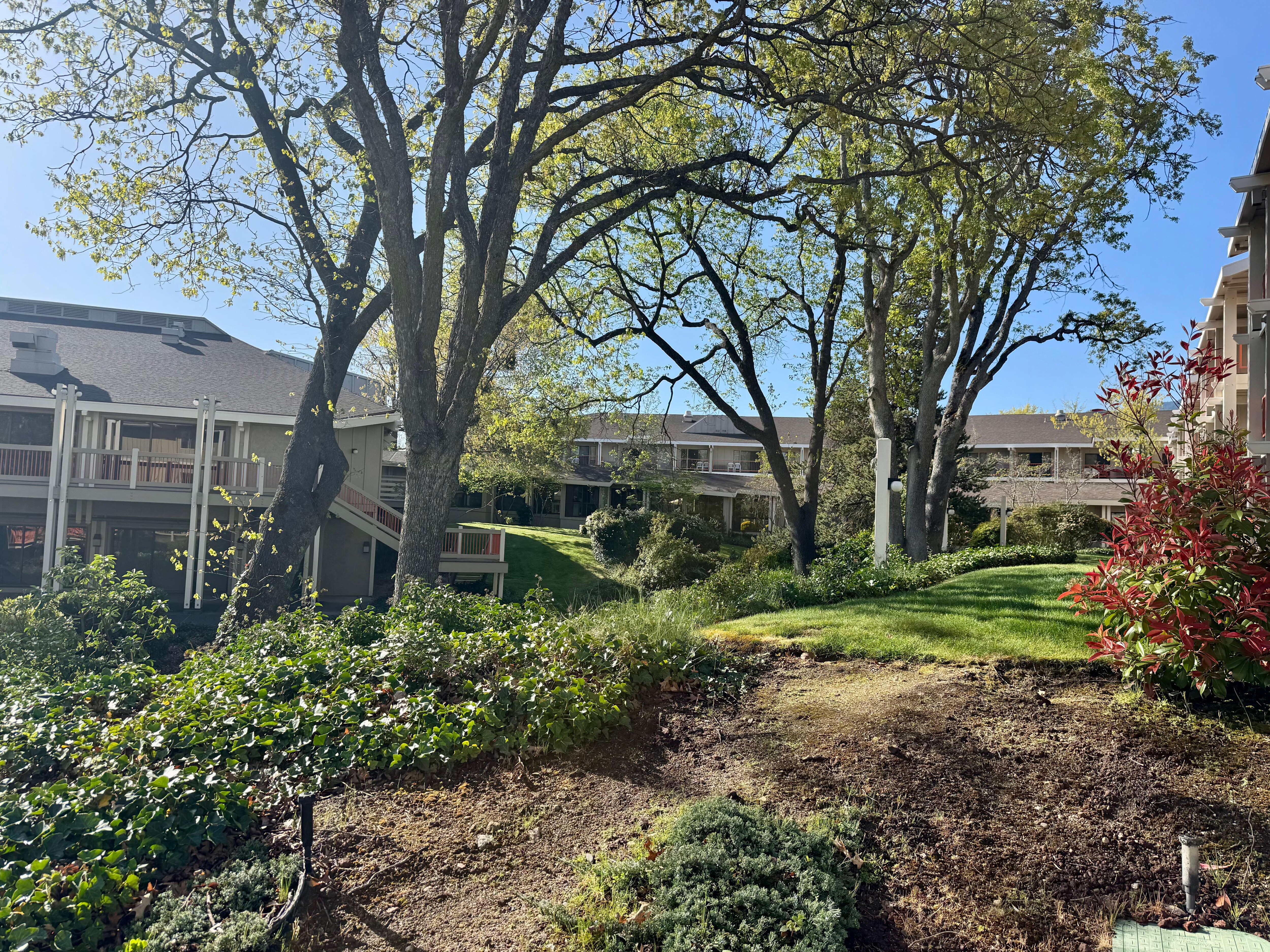 Landscaping interior
