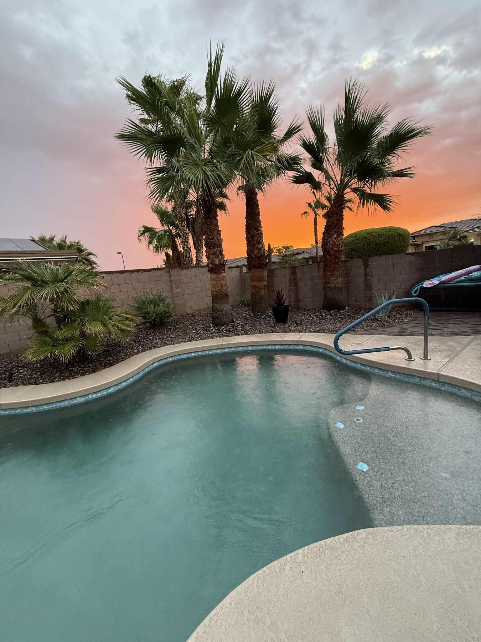 Can't get eoungh of the backyard!