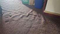 Carpet