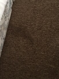 Carpet stairs next to the bed