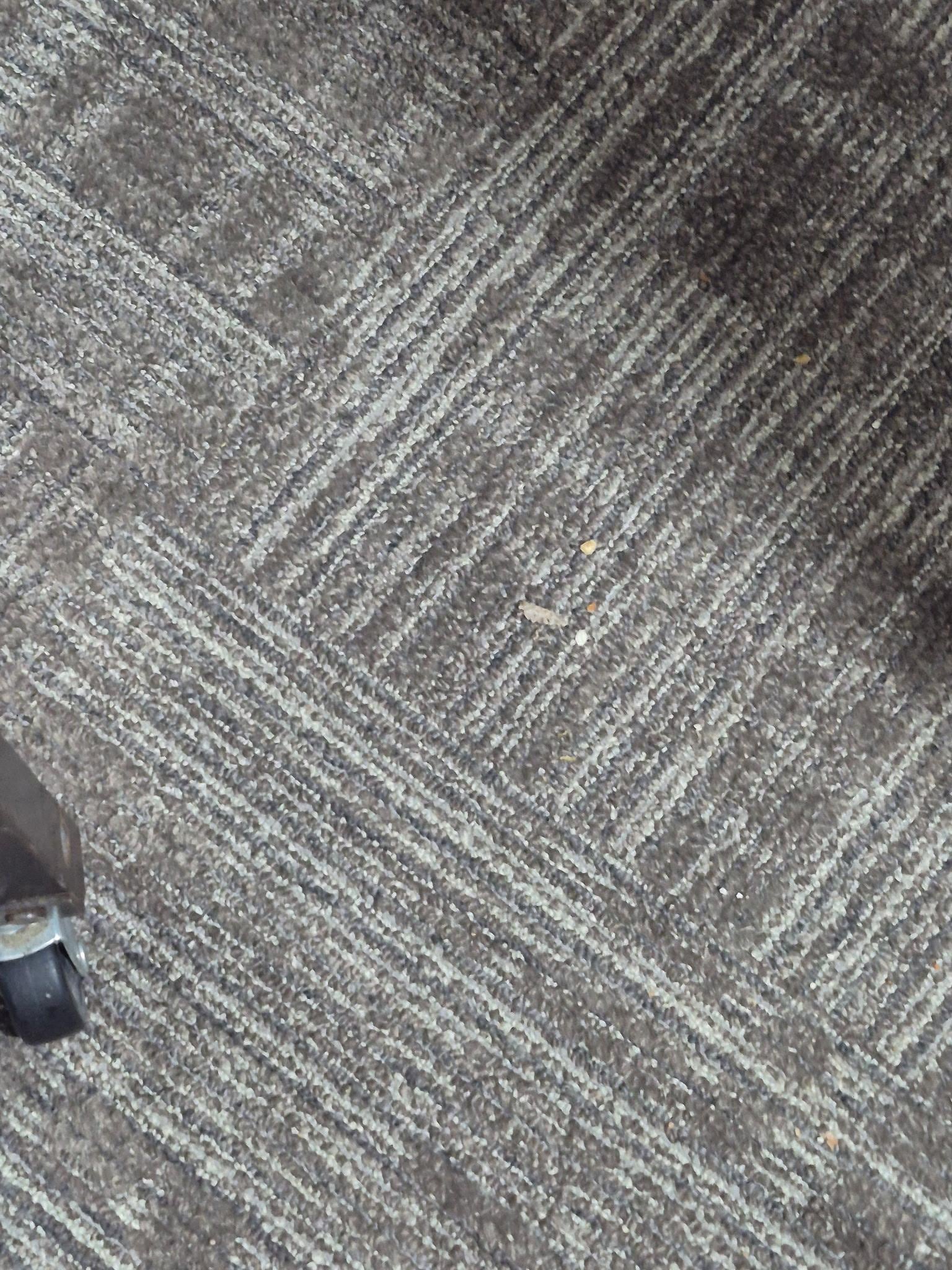 Dirty Floor